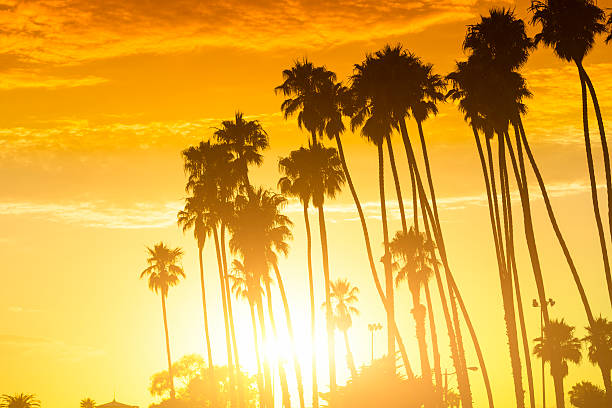 Chemin de vie - anais authelain - Los Angeles