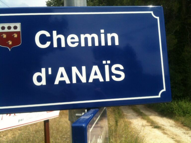 Chemin de vie - anais authelain - chemin